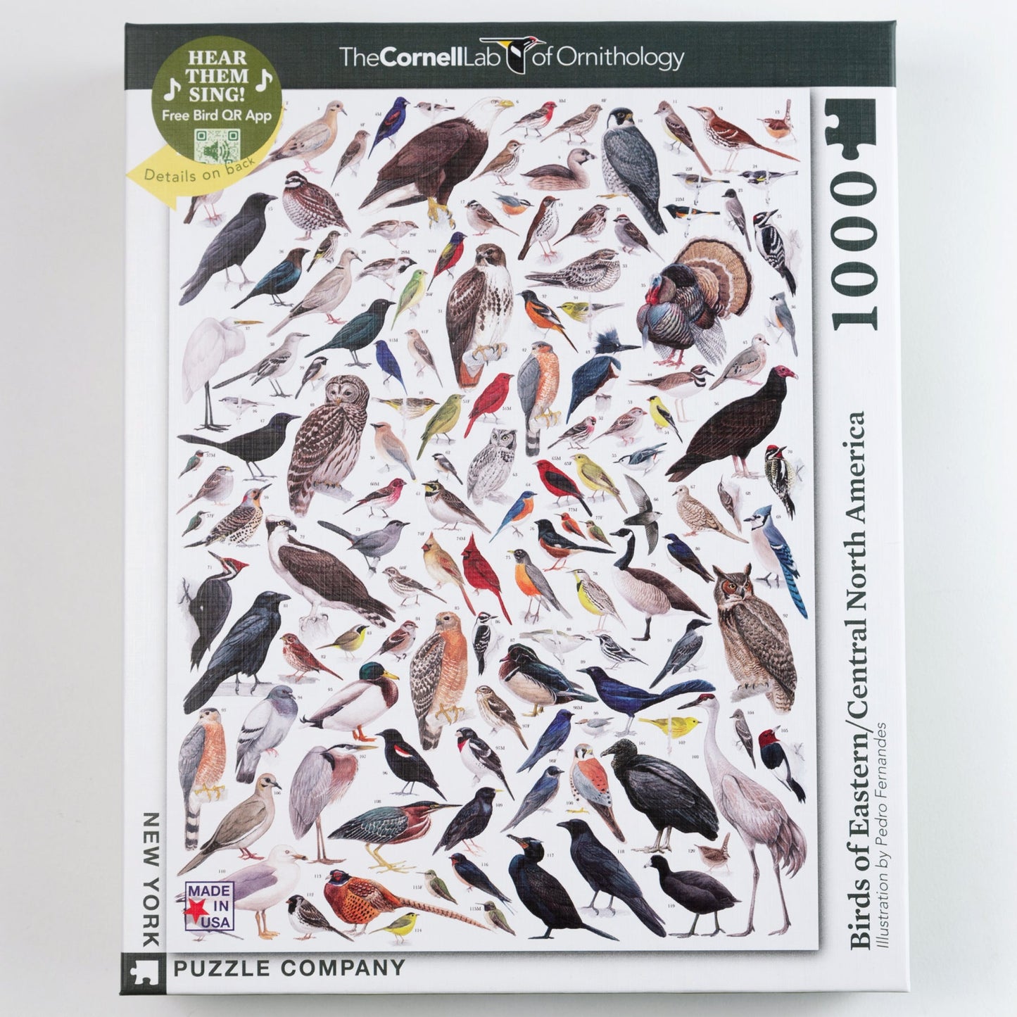 Birds of North America Puzzles