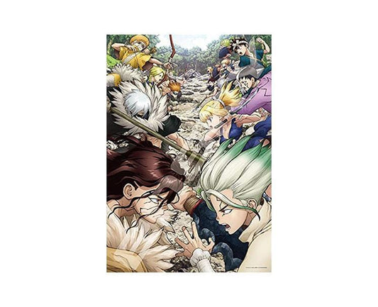 Dr. Stone Puzzle (1000)