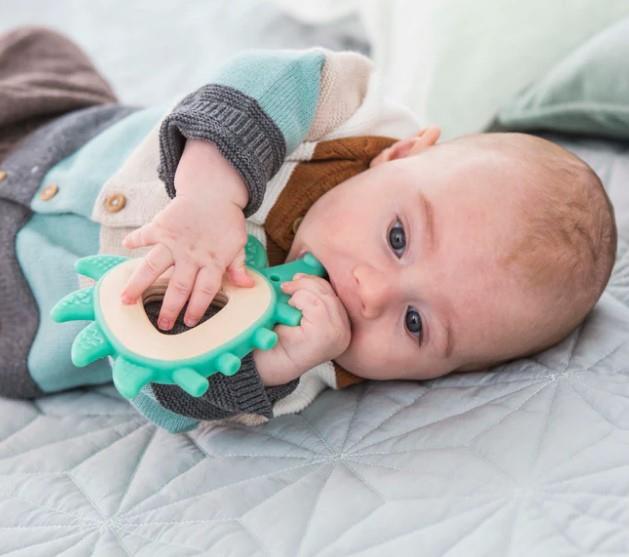 Hape Teether Hedgehog