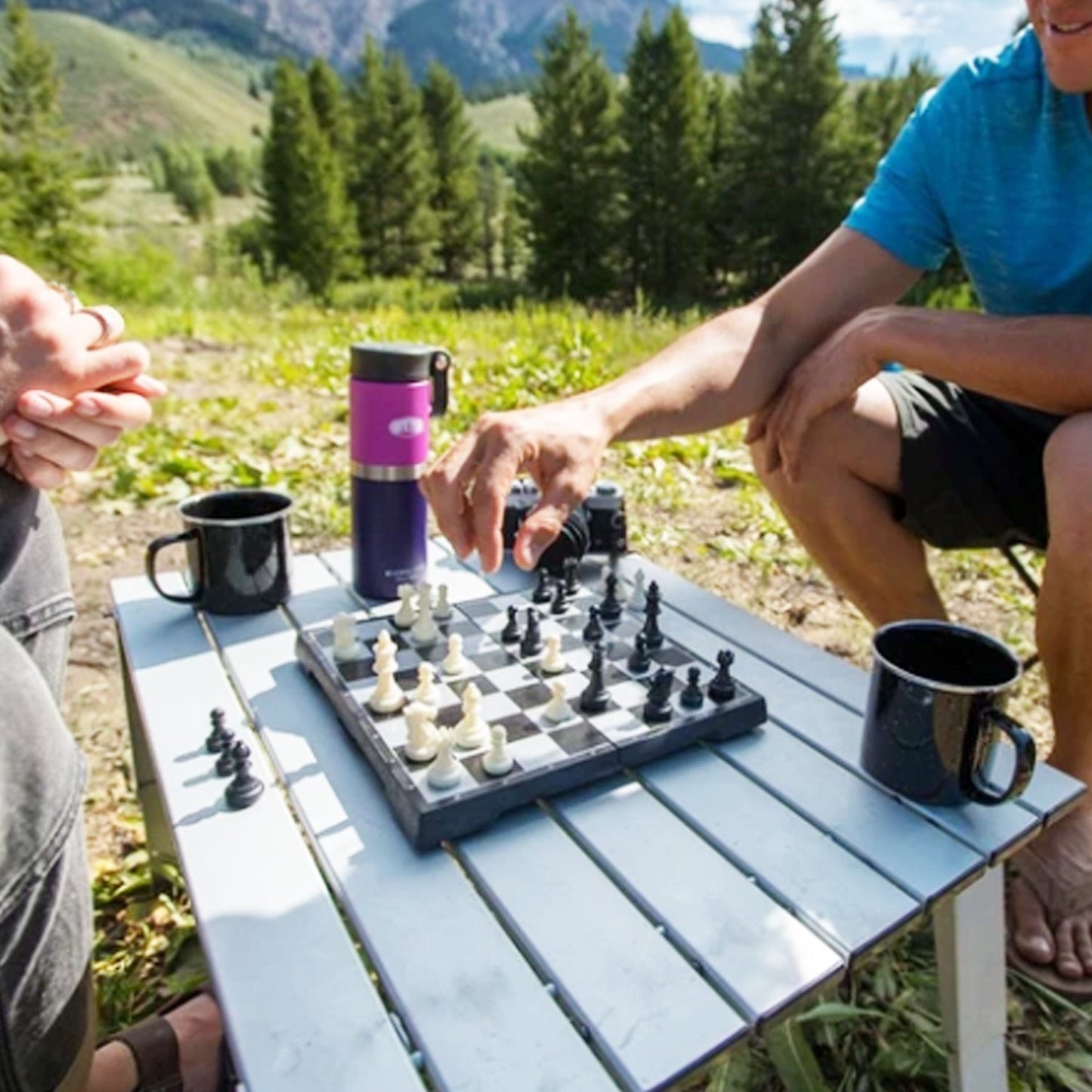 Magnetic Chess / Checkers